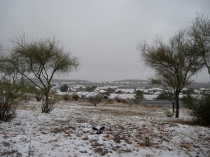 Snowy Saddlebrook Rooftops Snowy Saddlebrook Rooftops