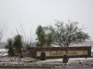 Saddlebrook Saddlebrook