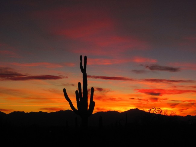 Best Sunsets on the Planet! Best Sunsets on the Planet!