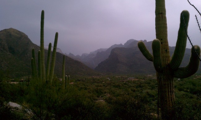 Pima Canyon Soaked with Snow on Top