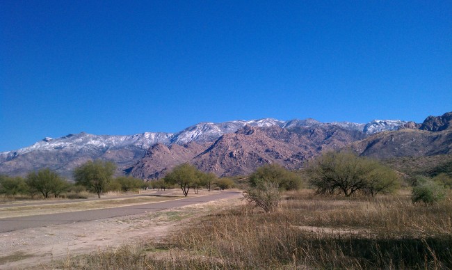 Catalina Snow