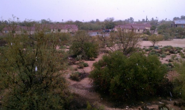 Oro Valley Snow!